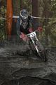 279__DSC0279 (2)